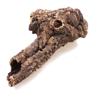 Kůra korkového dubu L (nad Ø12 cm)