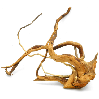 Kořen Red Moor wood L (0,5-0,8 kg)